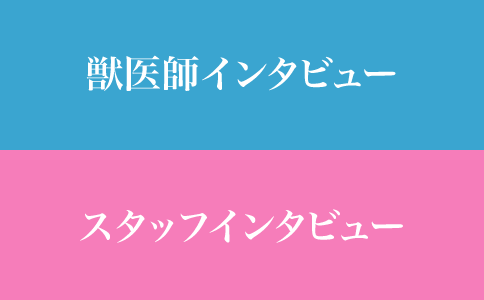 獣医師動物看護師インタビュー